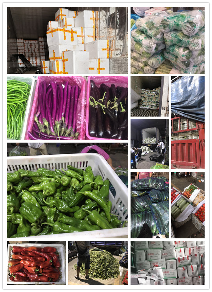 w66.利来(中国区)_来利国际旗舰厅