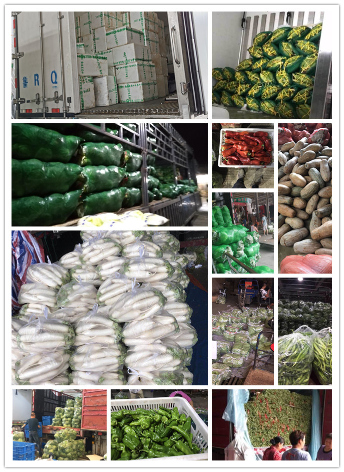 w66.利来(中国区)_来利国际旗舰厅