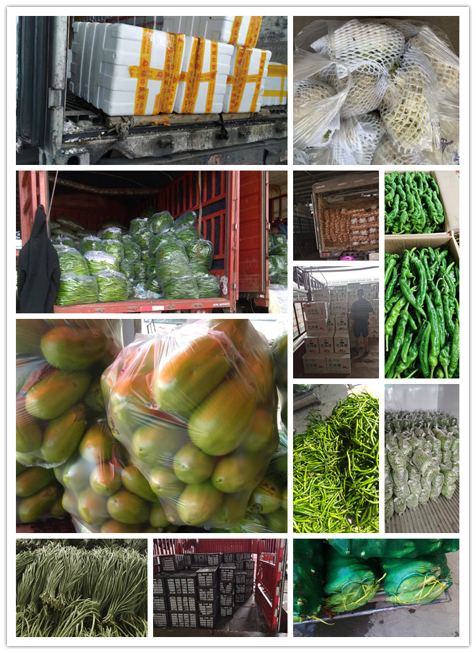 w66.利来(中国区)_来利国际旗舰厅