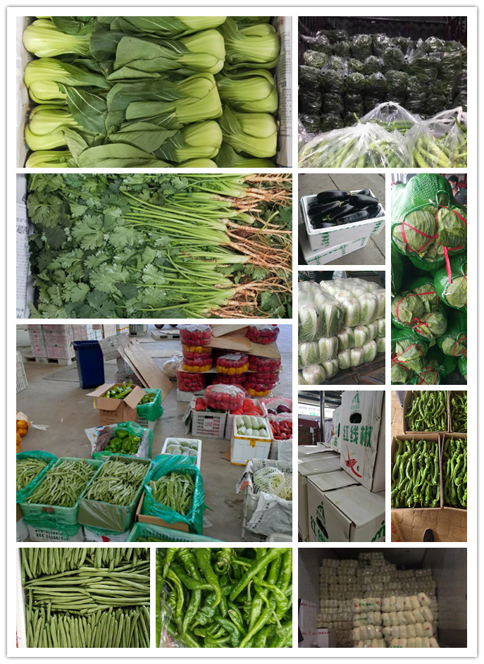 w66.利来(中国区)_来利国际旗舰厅