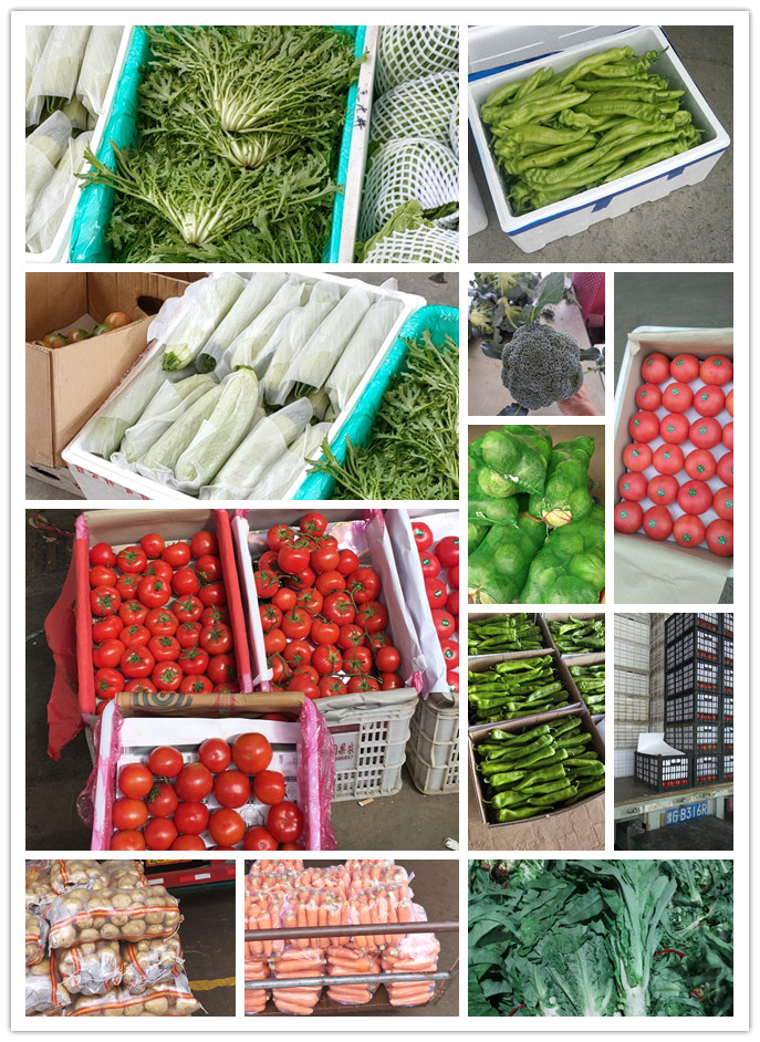 w66.利来(中国区)_来利国际旗舰厅