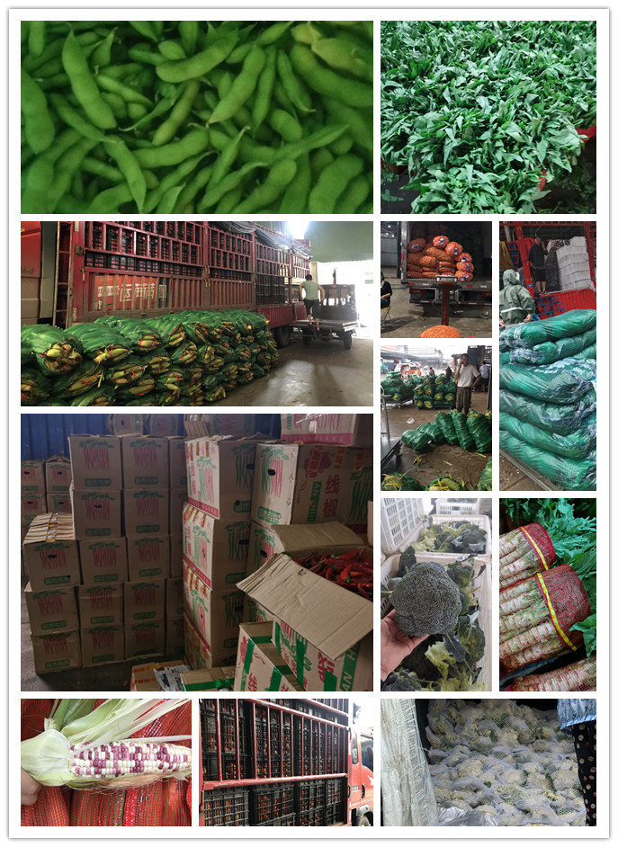 w66.利来(中国区)_来利国际旗舰厅