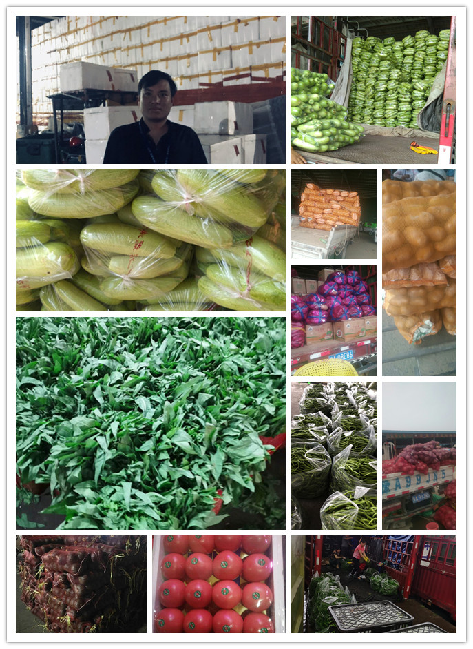 w66.利来(中国区)_来利国际旗舰厅