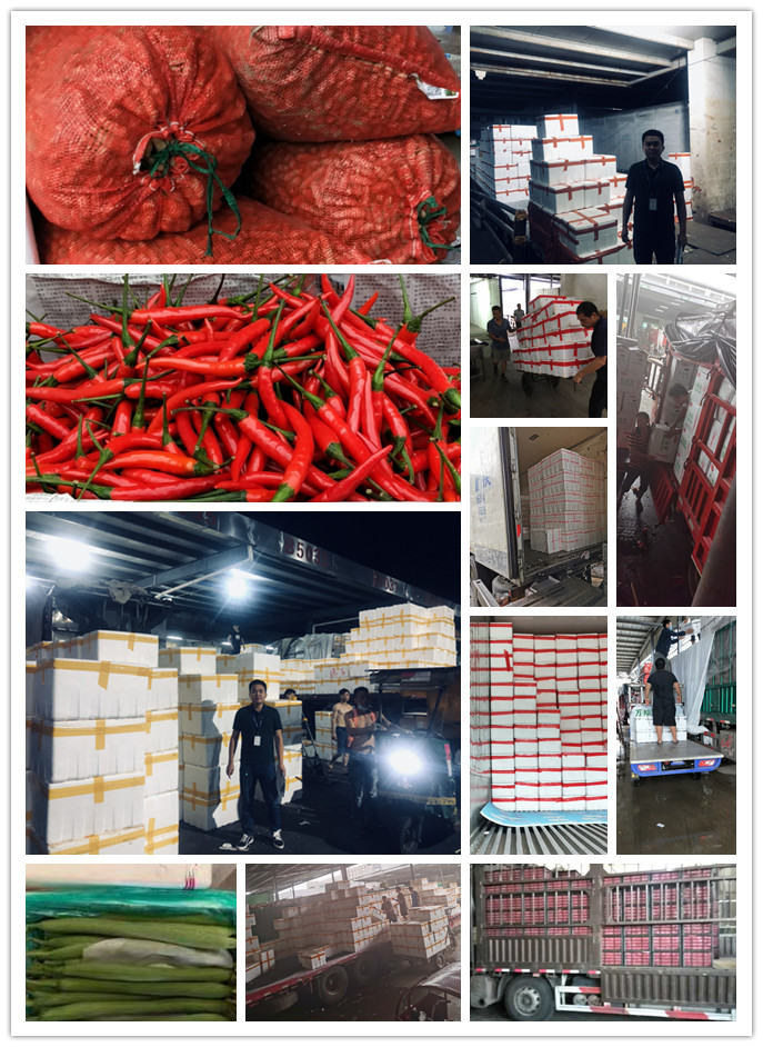 w66.利来(中国区)_来利国际旗舰厅