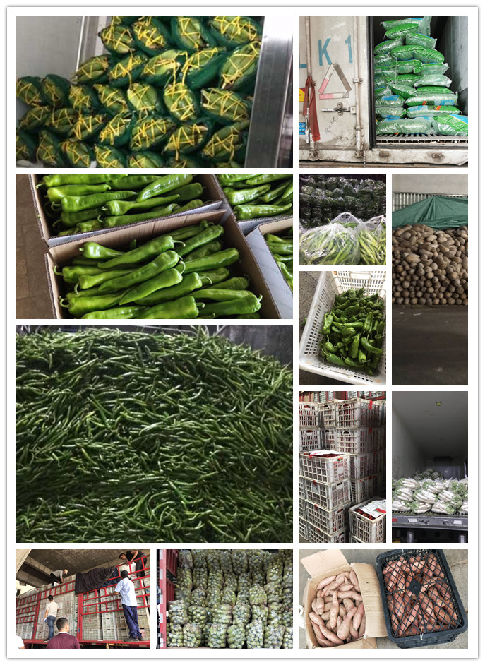 w66.利来(中国区)_来利国际旗舰厅