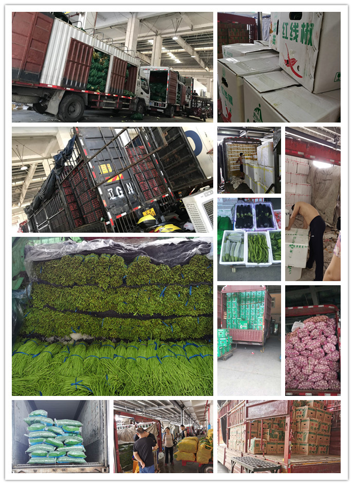 w66.利来(中国区)_来利国际旗舰厅