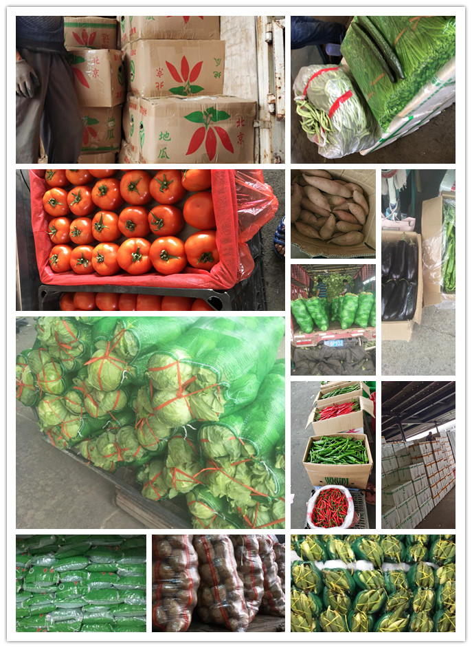 w66.利来(中国区)_来利国际旗舰厅