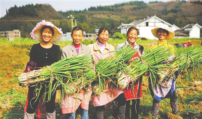 w66.利来(中国区)_来利国际旗舰厅