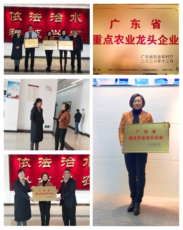 w66.利来(中国区)_来利国际旗舰厅