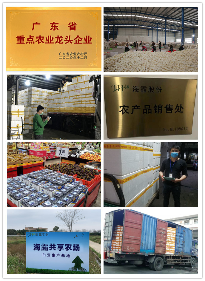 w66.利来(中国区)_来利国际旗舰厅