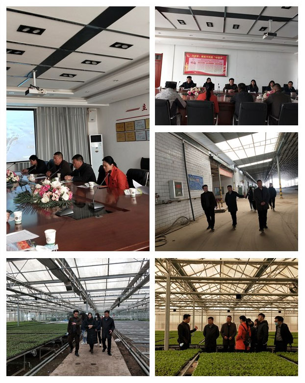 w66.利来(中国区)_来利国际旗舰厅