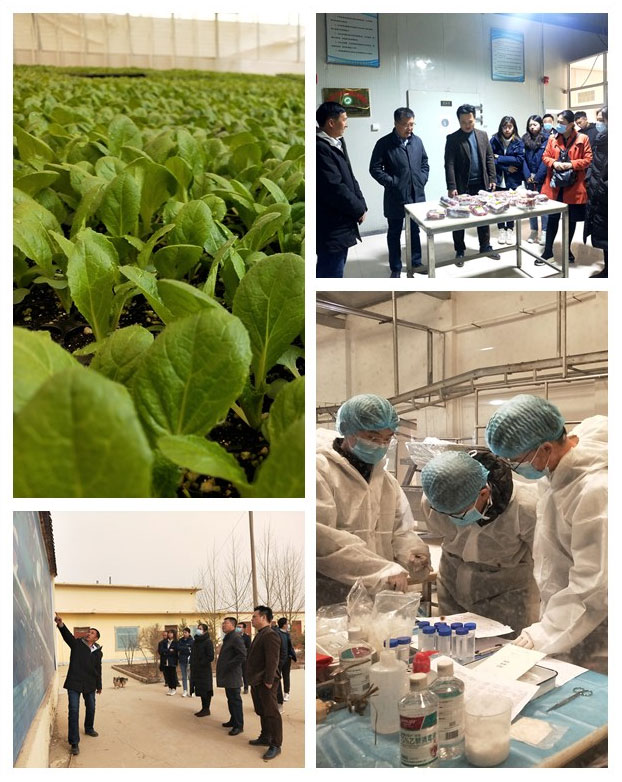 w66.利来(中国区)_来利国际旗舰厅