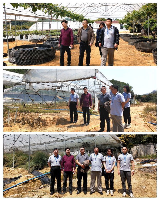 w66.利来(中国区)_来利国际旗舰厅