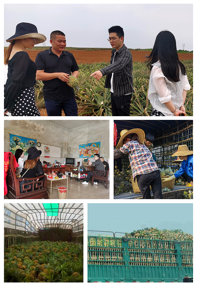 w66.利来(中国区)_来利国际旗舰厅