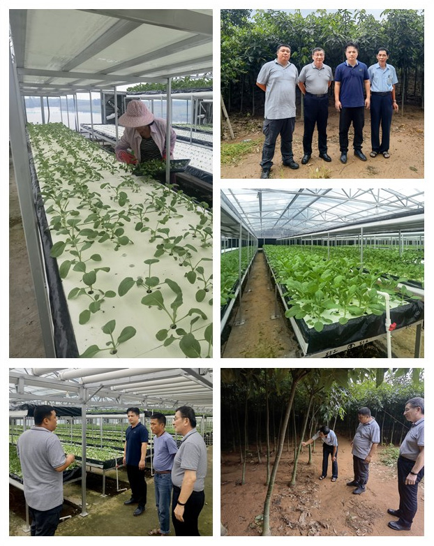 w66.利来(中国区)_来利国际旗舰厅