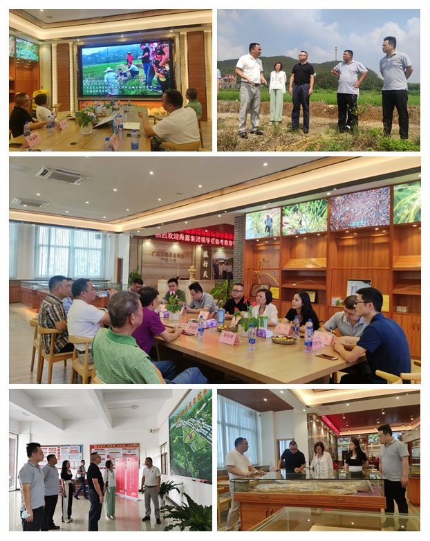 w66.利来(中国区)_来利国际旗舰厅