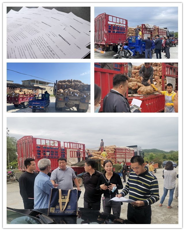 w66.利来(中国区)_来利国际旗舰厅