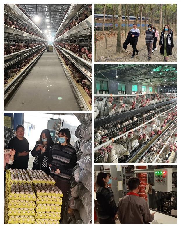 w66.利来(中国区)_来利国际旗舰厅