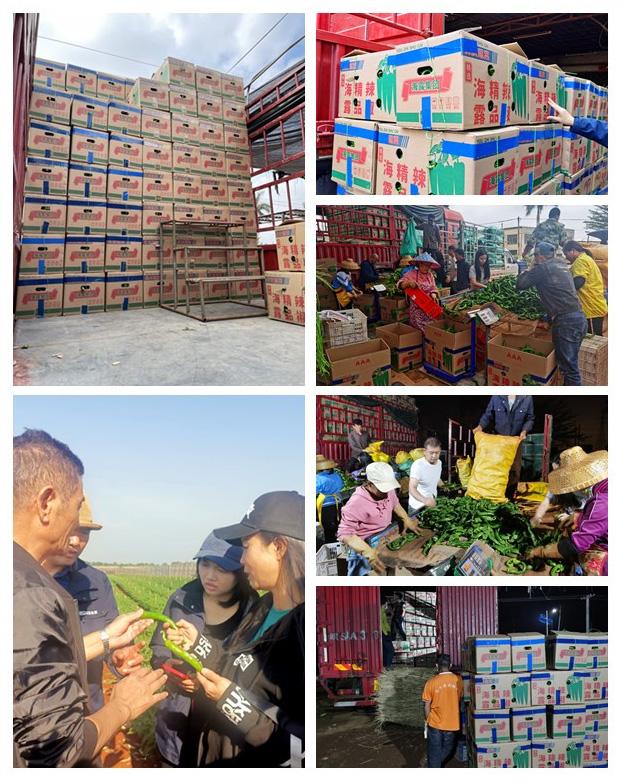 w66.利来(中国区)_来利国际旗舰厅