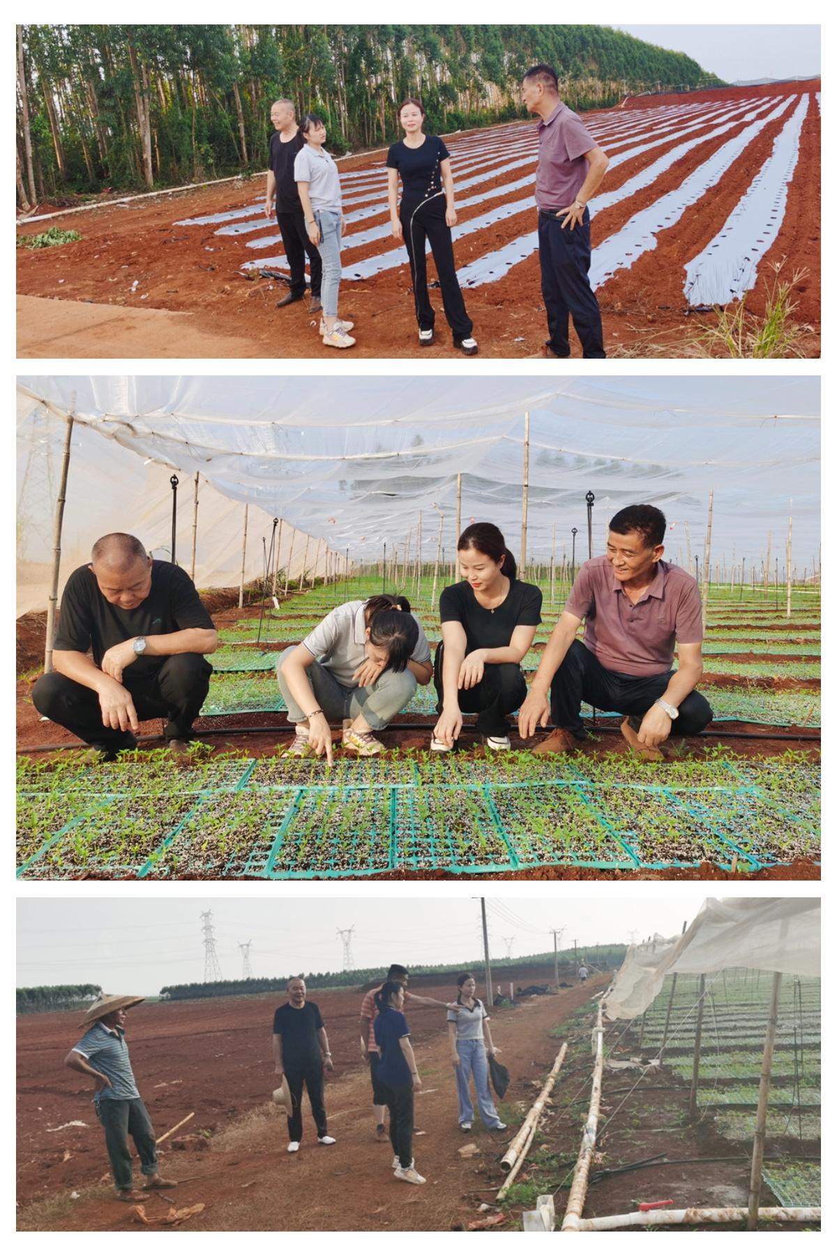 w66.利来(中国区)_来利国际旗舰厅