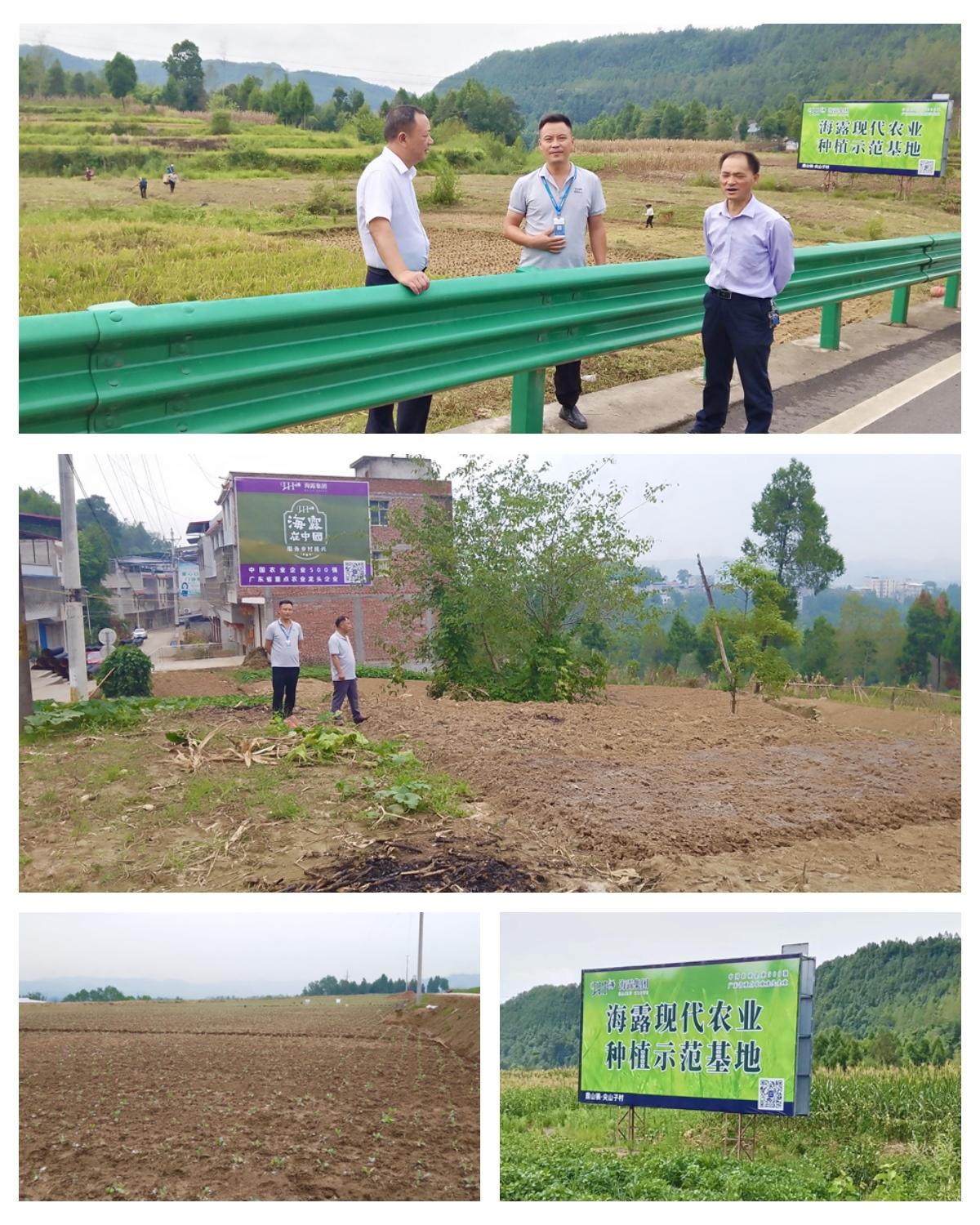 w66.利来(中国区)_来利国际旗舰厅