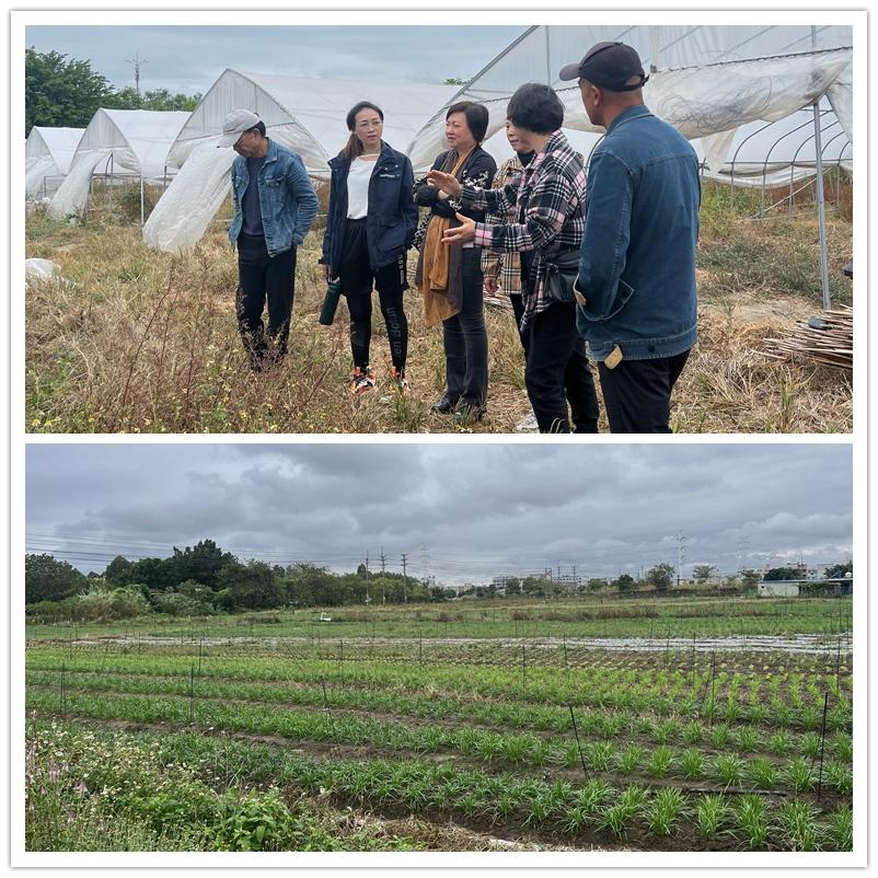 w66.利来(中国区)_来利国际旗舰厅