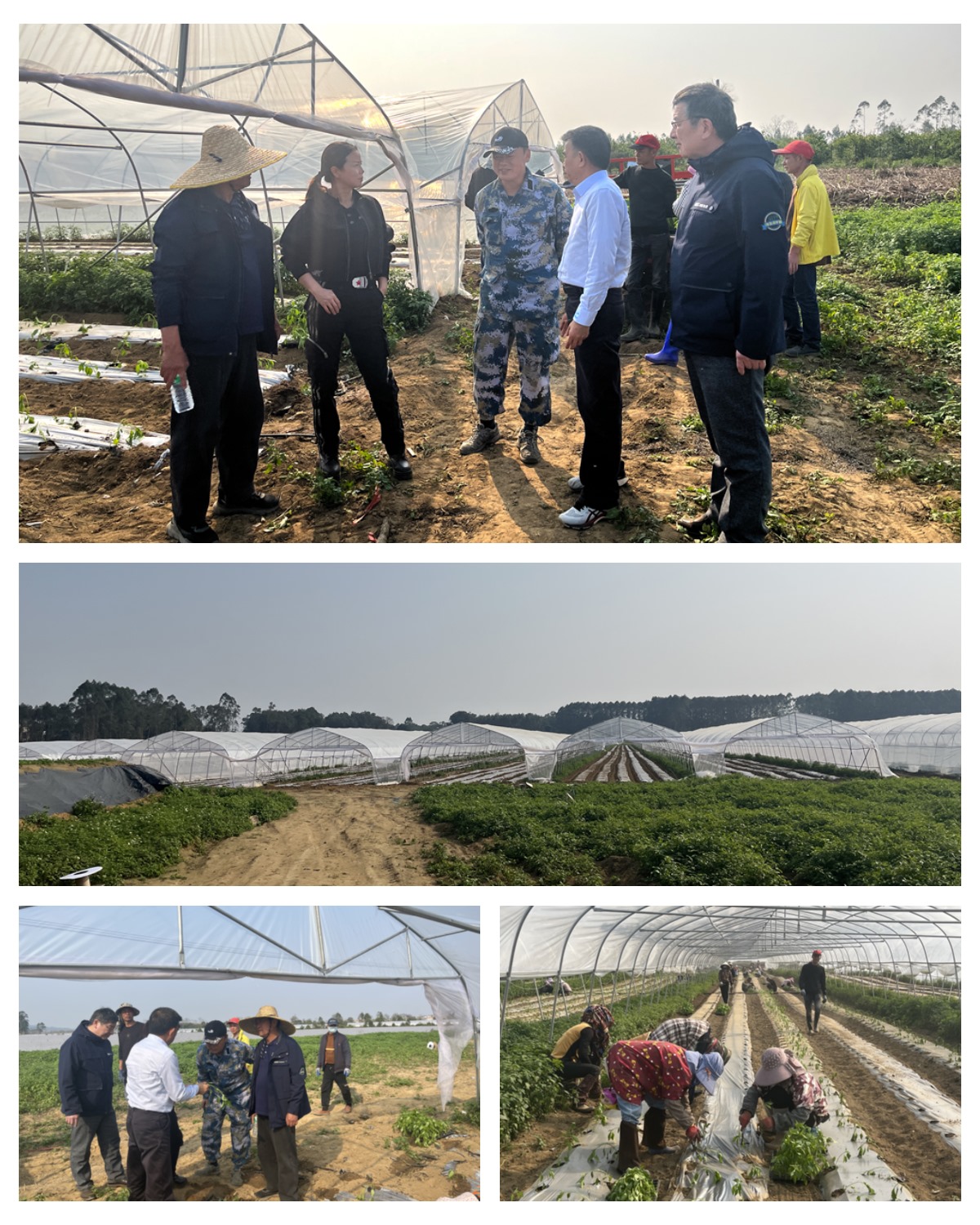 w66.利来(中国区)_来利国际旗舰厅