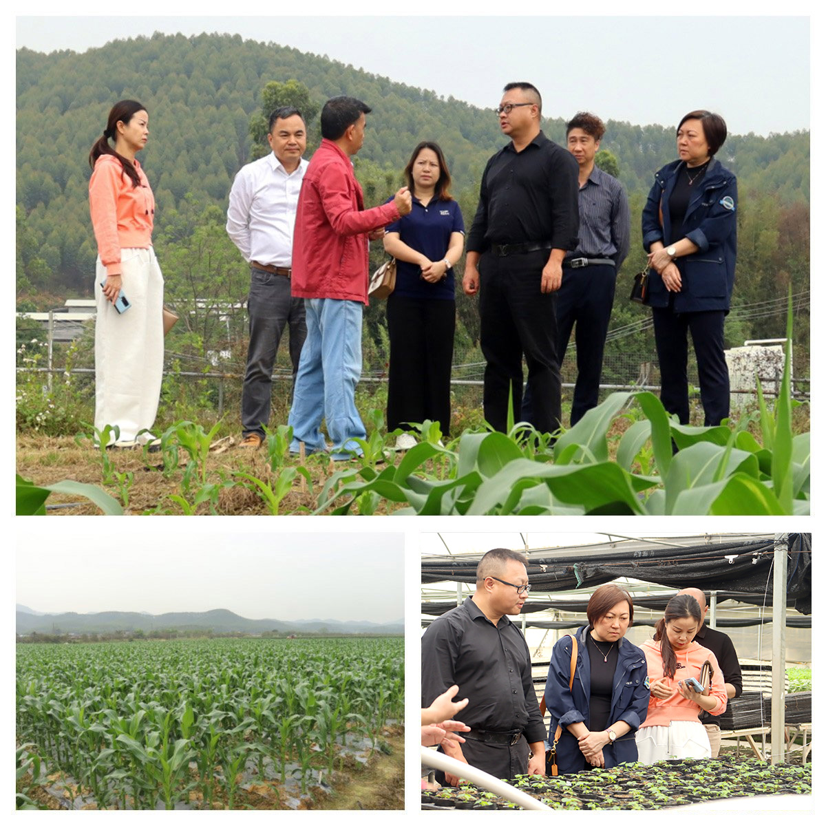 w66.利来(中国区)_来利国际旗舰厅