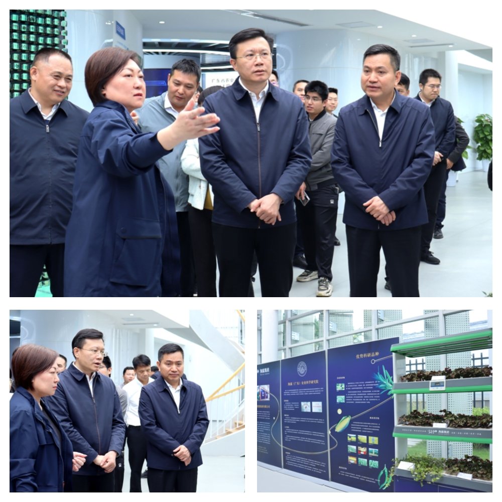 w66.利来(中国区)_来利国际旗舰厅