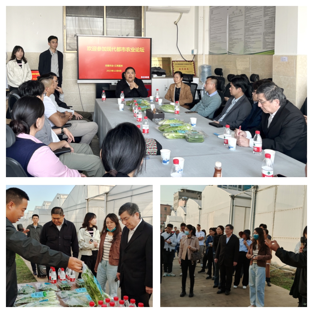 w66.利来(中国区)_来利国际旗舰厅