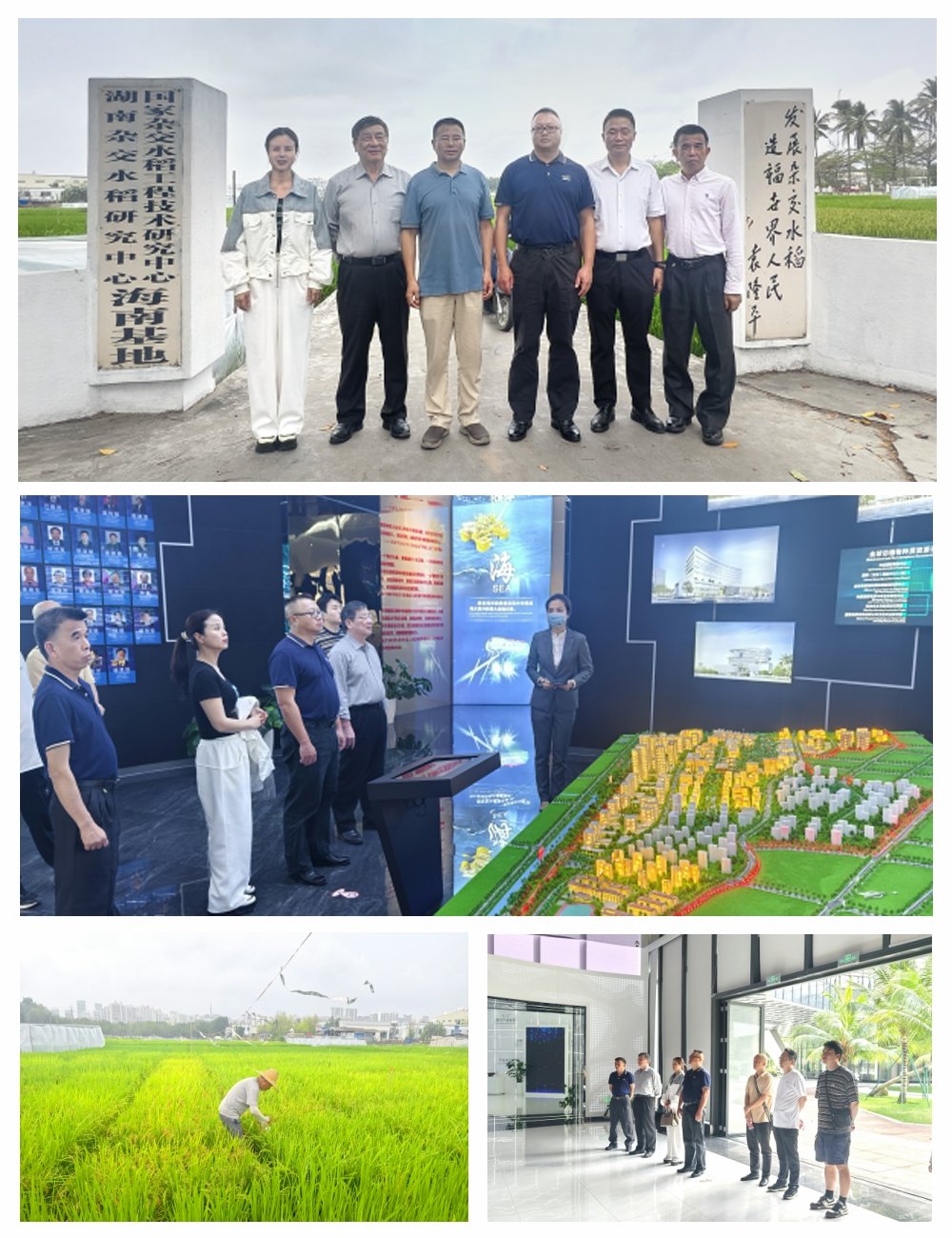 w66.利来(中国区)_来利国际旗舰厅