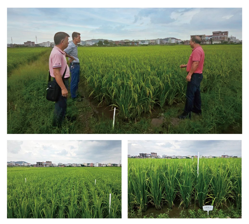 w66.利来(中国区)_来利国际旗舰厅