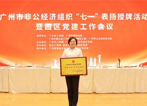 标杆引领，荣誉升级！集团党支部荣膺广州市非公有造经济组织“双强六好”标