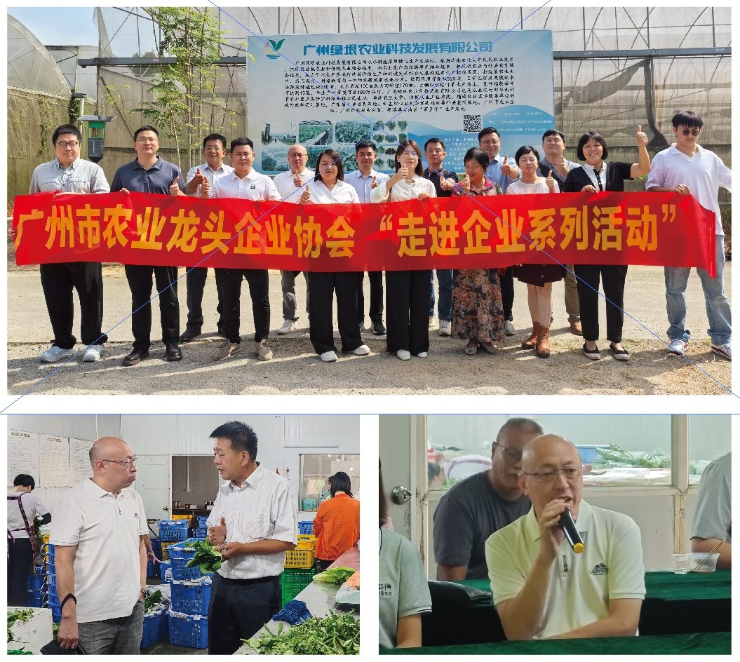 w66.利来(中国区)_来利国际旗舰厅