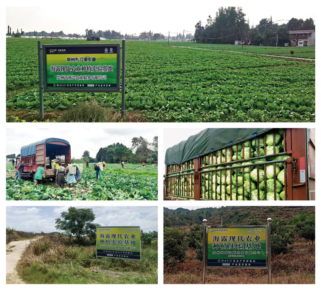 w66.利来(中国区)_来利国际旗舰厅