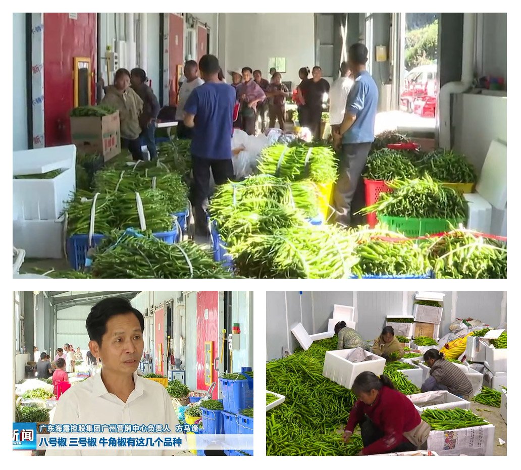 w66.利来(中国区)_来利国际旗舰厅