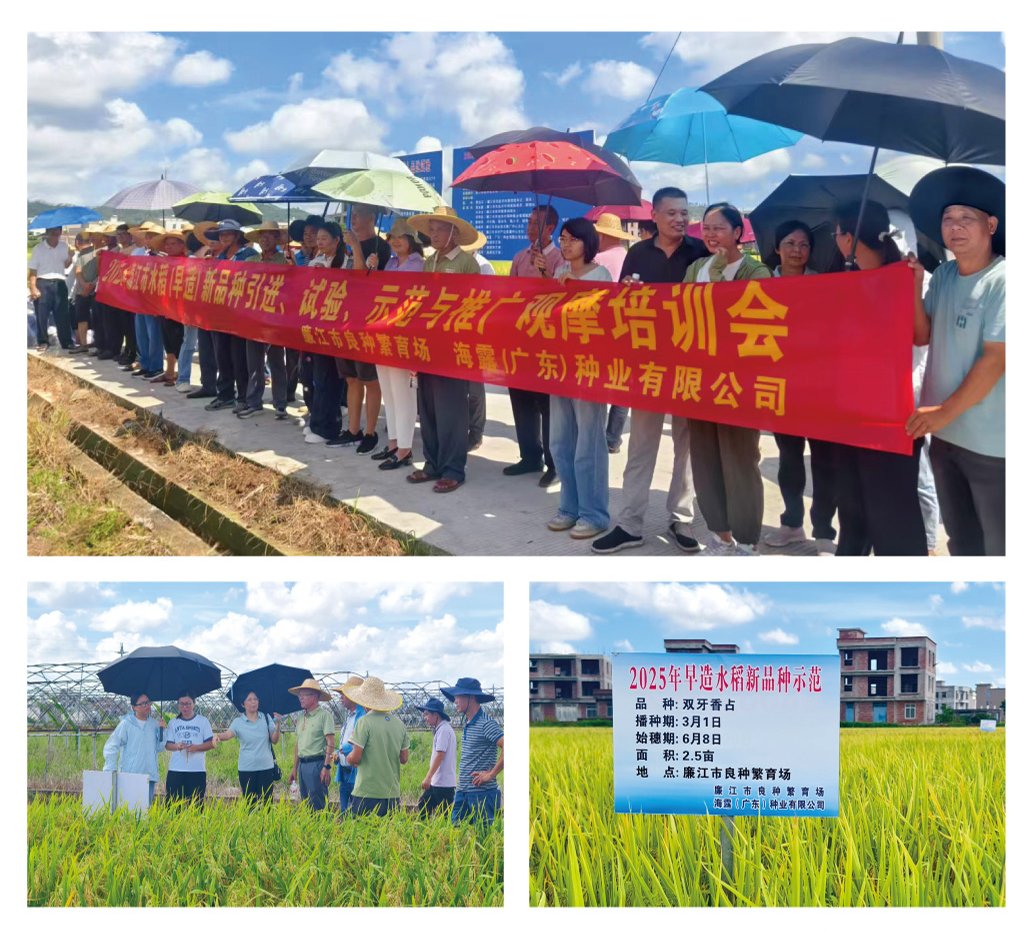 w66.利来(中国区)_来利国际旗舰厅