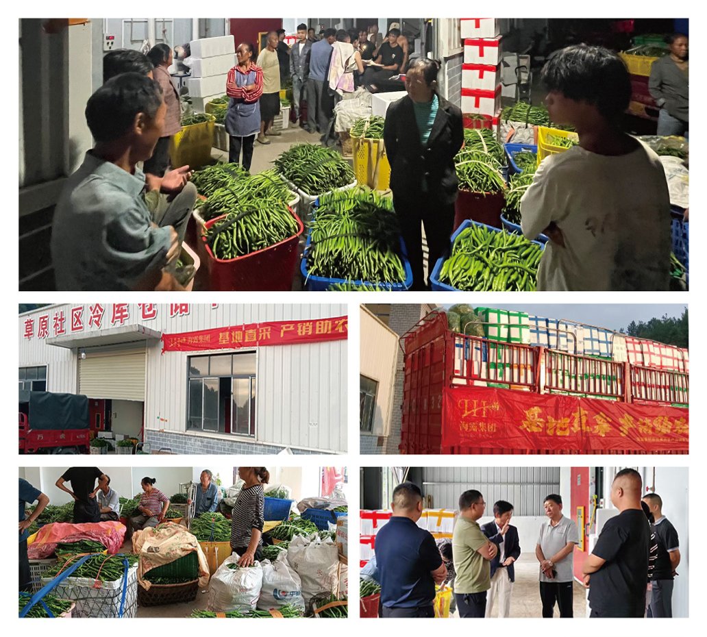 w66.利来(中国区)_来利国际旗舰厅