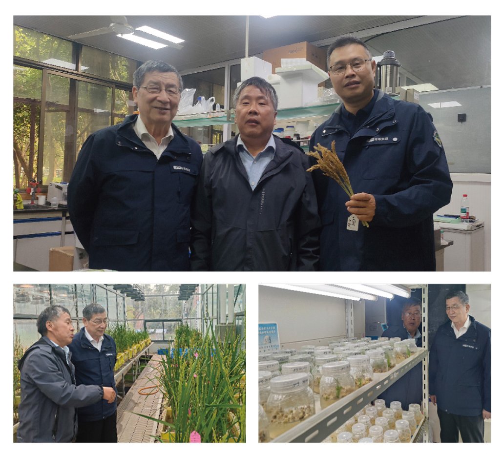 w66.利来(中国区)_来利国际旗舰厅