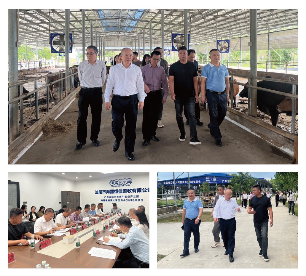 w66.利来(中国区)_来利国际旗舰厅